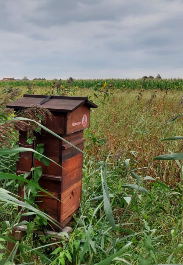 Bienenstock Patenschaft